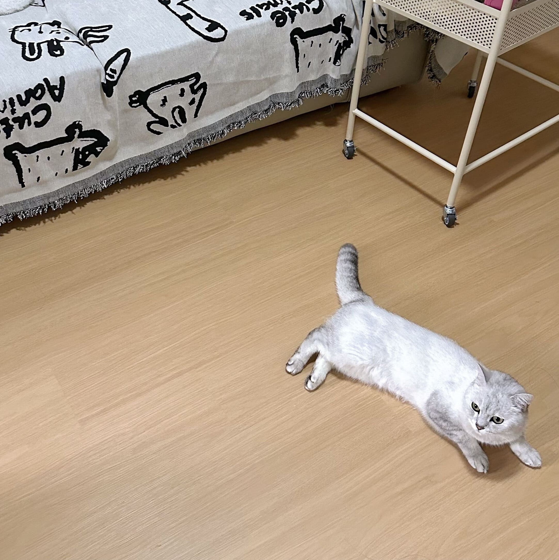 寵物友善, 零甲醛地板